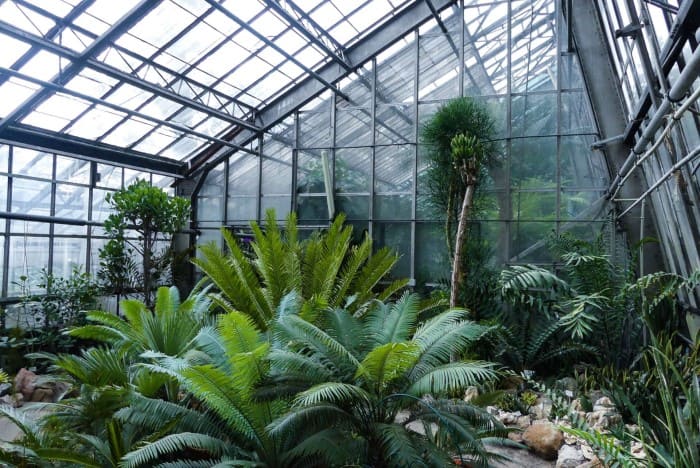 Ботанічний сад у Львові