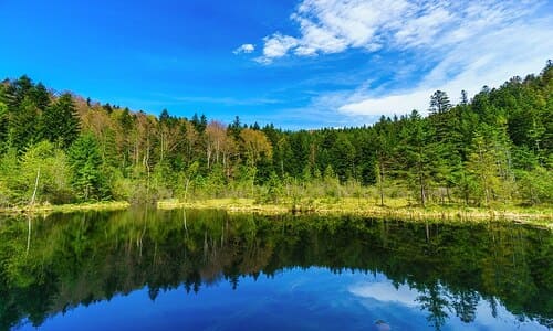 Озеро Журавлине на Львівщині. Як дістатись, цікаві факти
