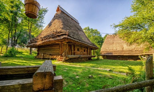 Шевченківський гай