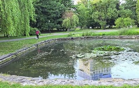 Озеро «Боднарівка» Львів