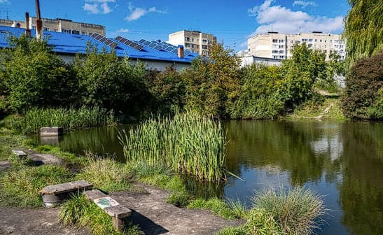 Ставок «Сихова» риболовля у Львові