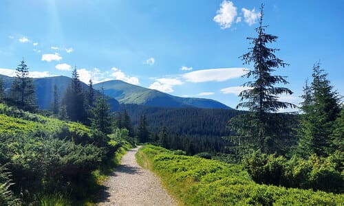 святкування корпоративу в Східниці