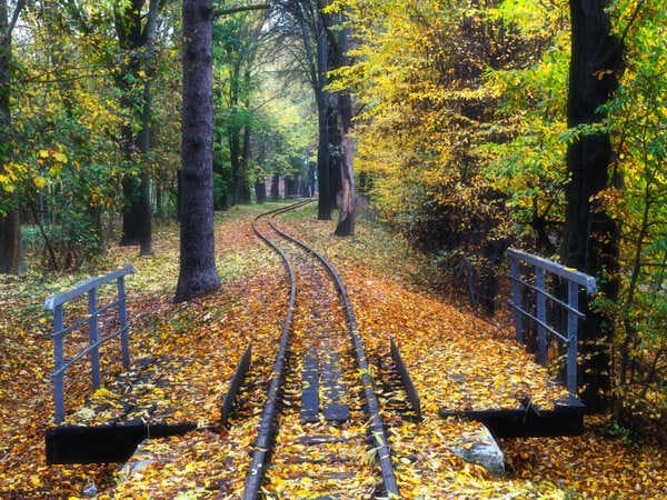 Стрийський парк